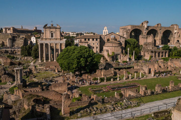 Fototapeta na wymiar Blick vom Palatin auf das Forum Romanum in Rom mit Maxentiusbasilika
