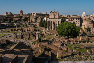 Blick vom Palatin auf das Forum Romanum in Rom mit Tempel des Antonius Pius und der Faustina