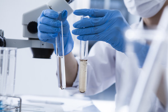 Water quality survey