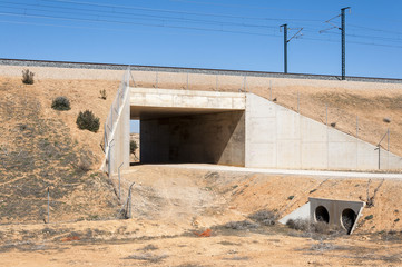 Underpass in the Madrid-Levante High-Speed Railway. These non-specific structures can be used as passageways by wildlife