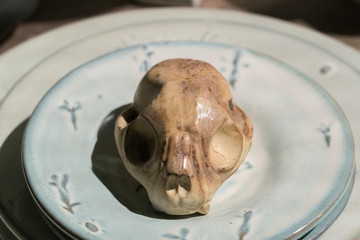 Small decorative skull
