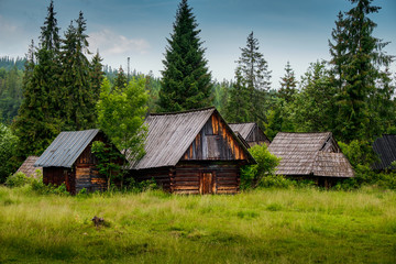 Old log cabin in the forest