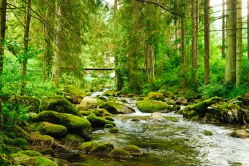 Foto auf Acrylglas Waldfluss Fließender Bach im Wald
