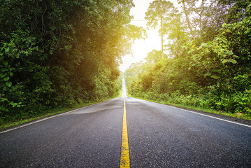 Obraz premium Green street, Khao Yai National Park in Thailand.