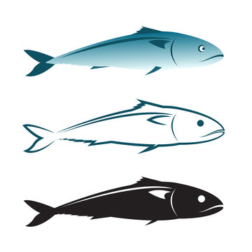 Vector image of an mackerel design on white background., Mackere