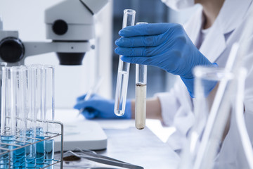 Women have a water quality survey
