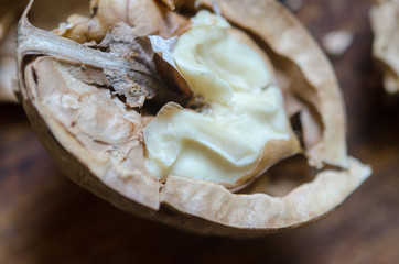 half a walnut core macro