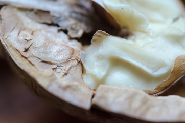 half a walnut core macro