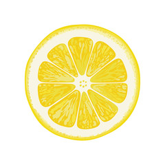 vector illustration of lemon