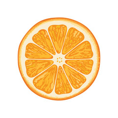 vector illustration of orange