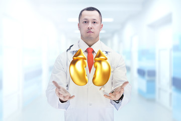 Doctor with stethoscope and golden kidneys on the hands in a hospital. High resolution.