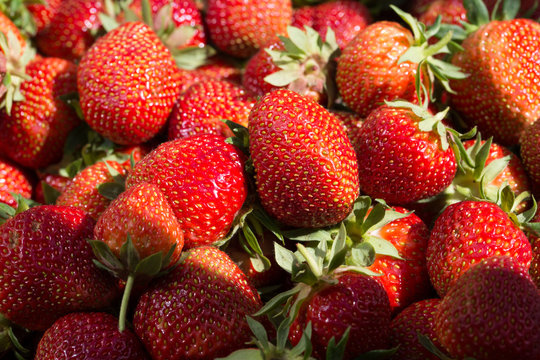 Macro shot of a pile of strawberries