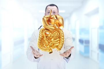 Doctor with stethoscope and golden digestive system on the hands in a hospital. High resolution.
