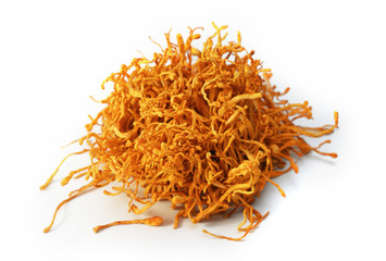 Fototapeta premium dried cordyceps militaris mushroom isolated on white background