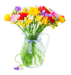 Fresh freesia flowers