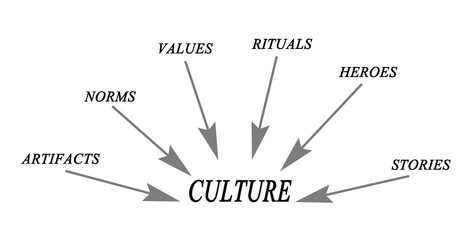 Components of culture