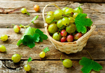 ripe, fresh, organic gooseberries