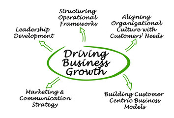 Driving Business Growth