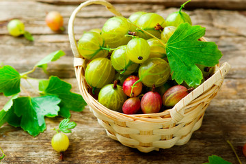 ripe, fresh, organic gooseberries