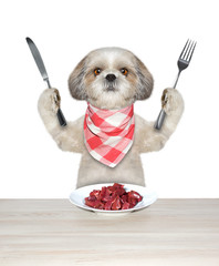 Dog is going to eat meat
