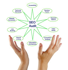 Diagram of SEO Audit