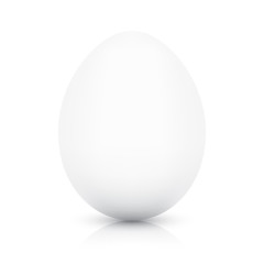 White chicken egg vector template