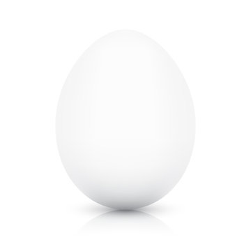White chicken egg vector template