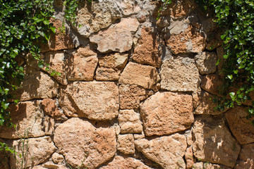 leaves on decorative hewn stone wall for wallpaper.