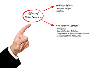 Effects of Noise Pollution