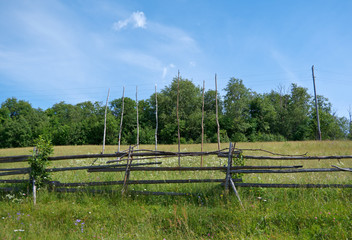 Fototapeta premium Russian summer meadow