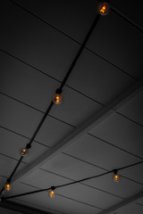 Hanging light globes