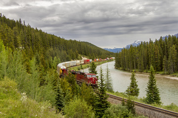 Fototapeta premium Freight Train in the Bow Valley - Banff National Park