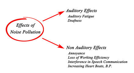 Effects of Noise Pollution