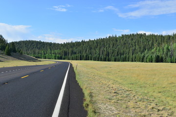 A tarmac road leading into the North Rim of the Grand Canyon.