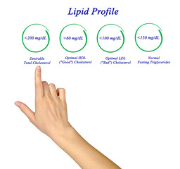Diagram of Lipid profile