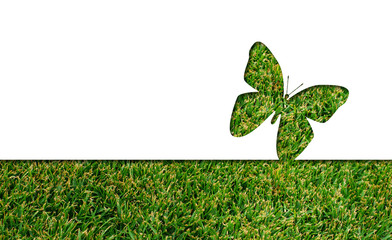 Nachhaltige Reklame: Schmetterling auf Gras Hintergrund ausgeschnitten. 