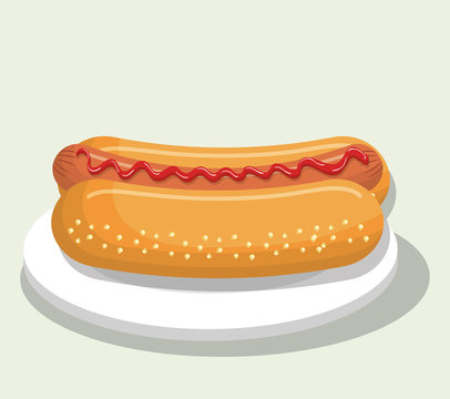 delicious hot dog isolated icon design, vector illustration  graphic 