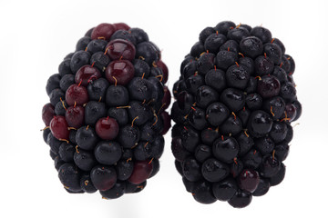 blackberries isolated on white background.