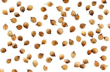 Coriander seeds isolated on white background