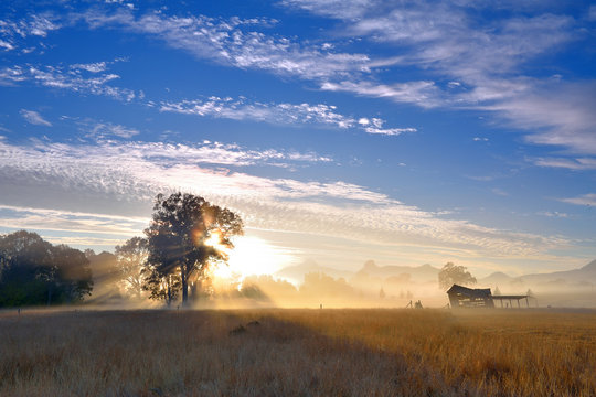 Australia Landscape : Farming in Australia