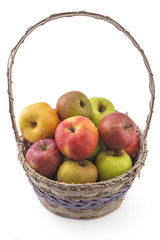 Fresh ripe organic colorful apples in wooden basket isolated on white background