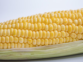 Corn on isolated / white background 1