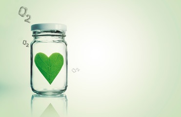 Environment to fresh air concept