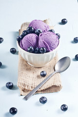 Blueberry ice cream and blueberries are on the light blue. - 114605437