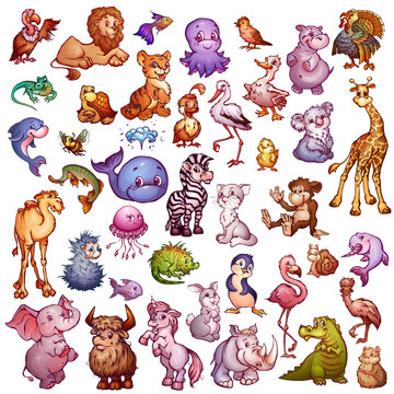 Vector set of cute animals for pets alphabet. Lion, rhino, giraffe and etc.