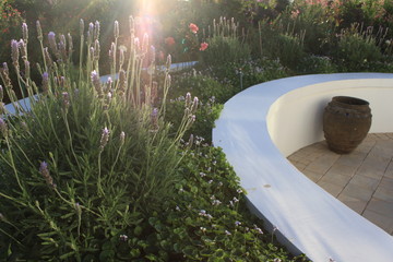 designed lavender garden with sunlight