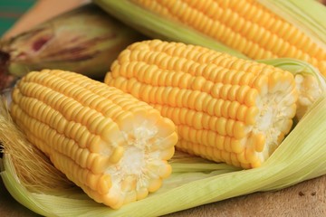 fresh corn
