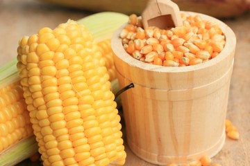 Corn and dried seeds