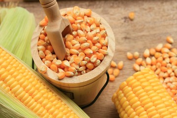 Corn and dried seeds