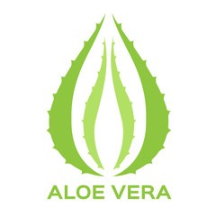 Aloe vera vector illustration, template logo. Company logo design